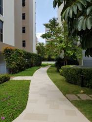 Palm Isles (D17), Condominium #167123672